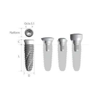 INNO INTERNAL FIXTURE/ИМПЛАНТАТ С ПОЛИРОВАННОЙ ШЕЙКОЙ